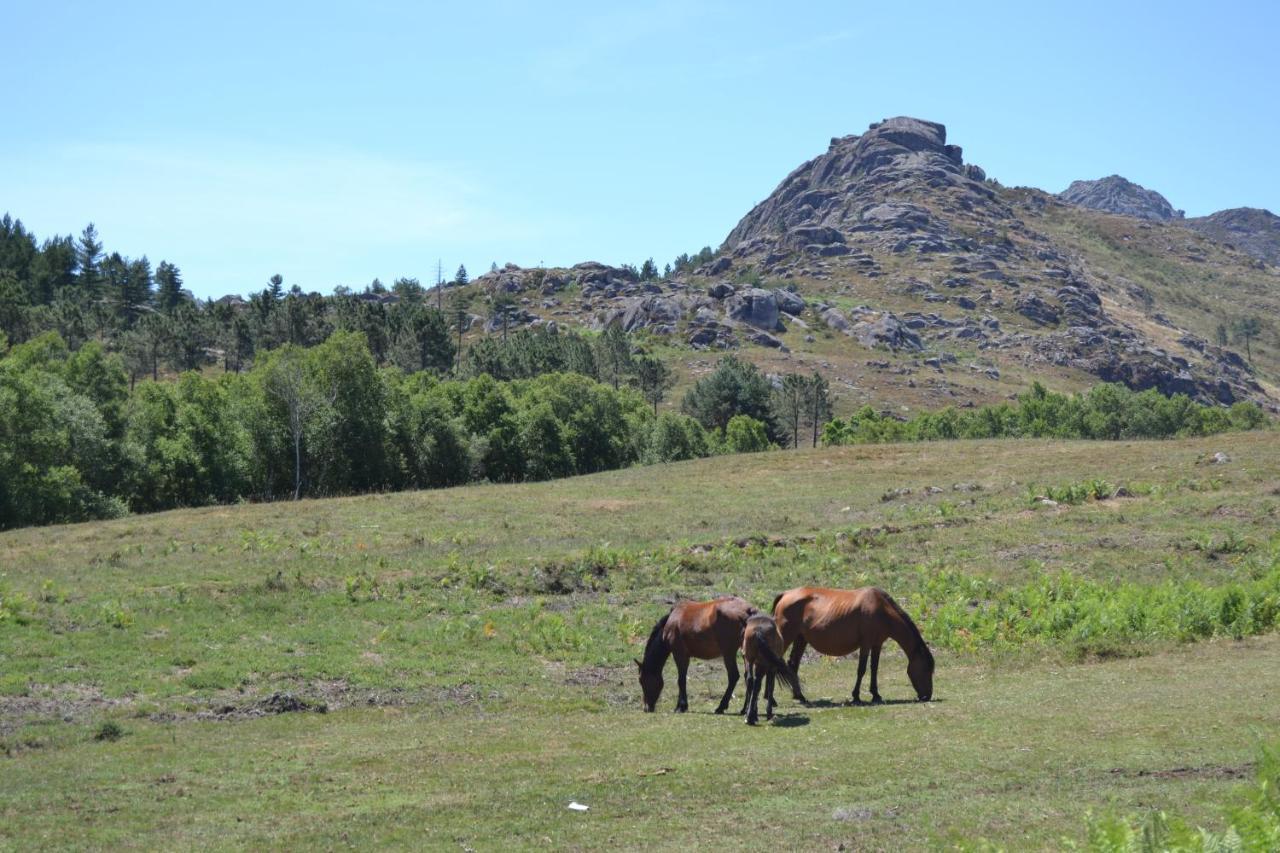 Holiday home Casas De Xisto, Branda Da Aveleira Melgaco